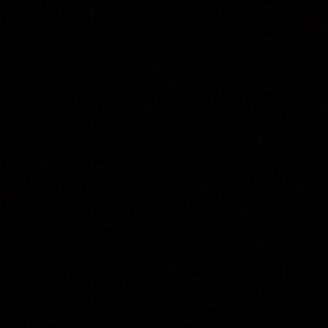 Meet your Posher, Noemi